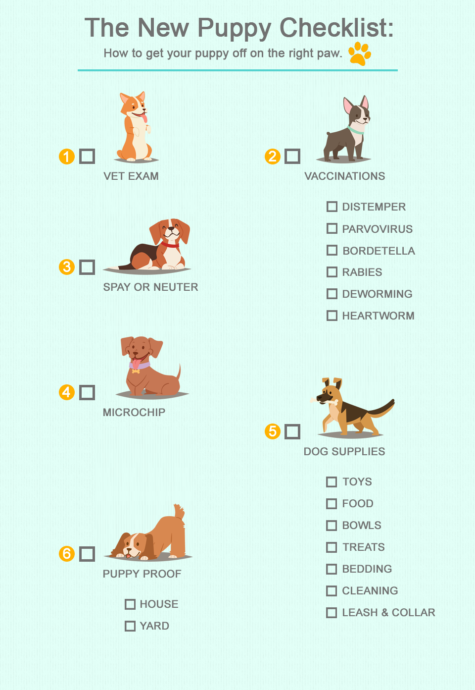 pre puppy checklist